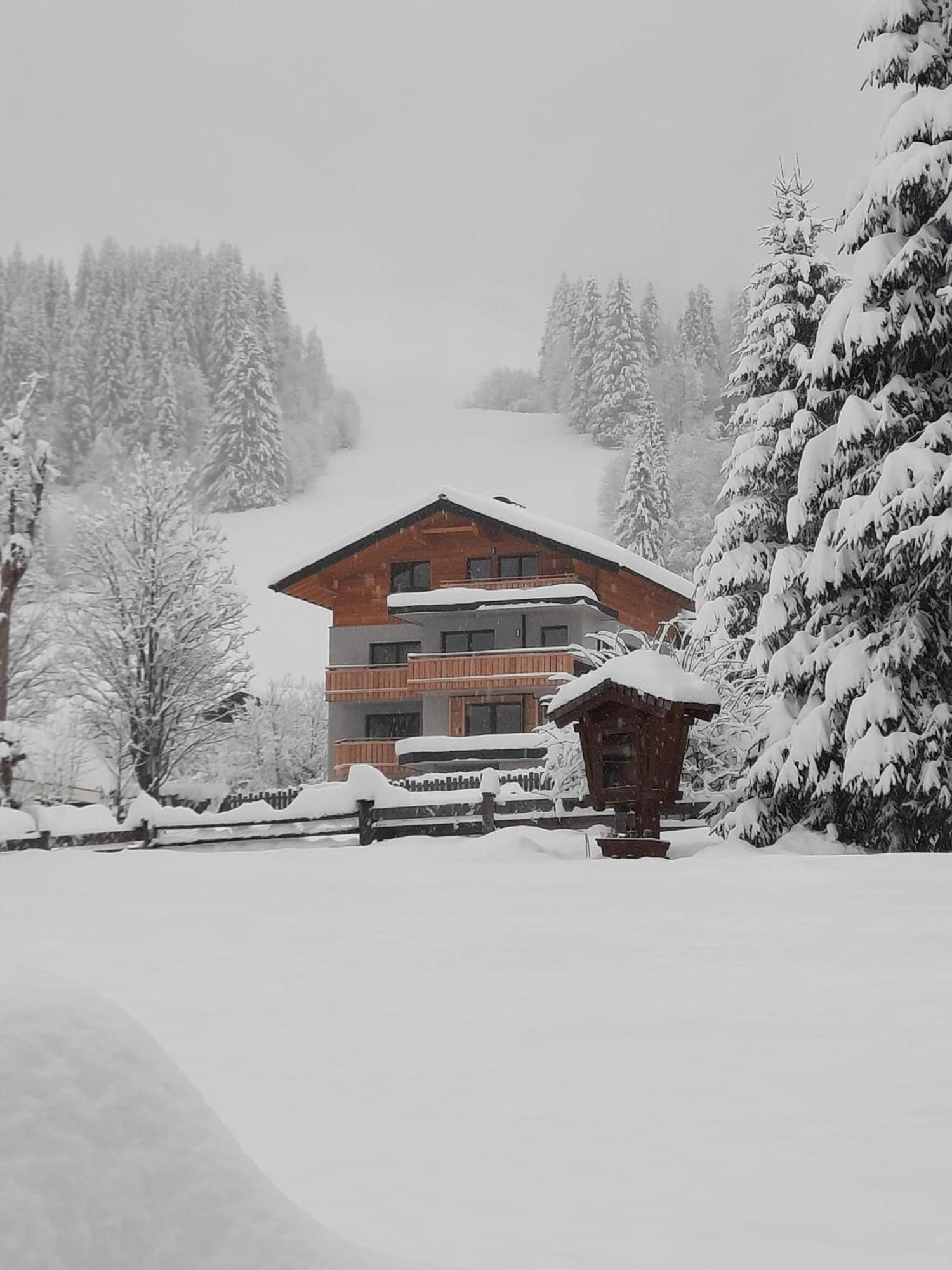 Zimmer & Appartements Schwarzenbacher Sonja & Konrad ไคลนาร์ล ภายนอก รูปภาพ