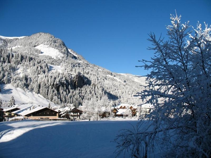 Zimmer & Appartements Schwarzenbacher Sonja & Konrad ไคลนาร์ล ภายนอก รูปภาพ